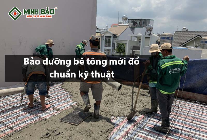 Các Bước Bảo Dưỡng Bê Tông Mới Đổ