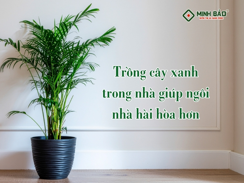Cây xanh giúp ngôi nhà hài hòa